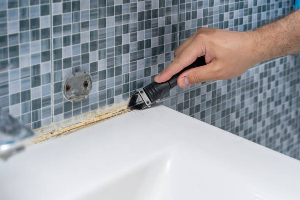 Best Certified Mold Removal  in El Jebel, CO